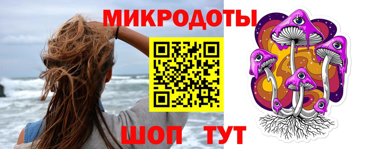Псилоцибиновые грибы Psilocybine cubensis Ишим