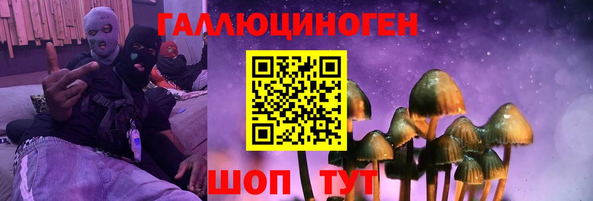Ишим  Псилоцибиновые грибы Psilocybine cubensis  Вход с VPN 